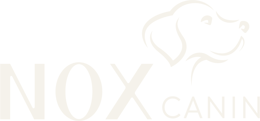 Garderie canine à Toulouse. Garde chien toulouse