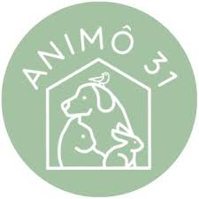 logo association animo31 toulouse