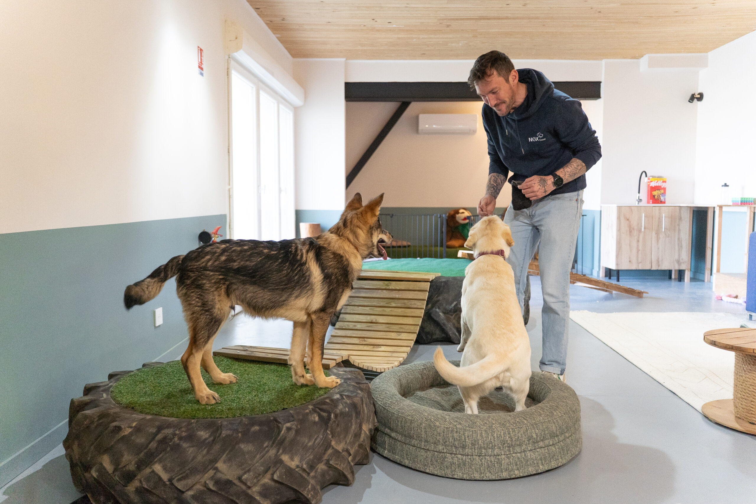 garderie canine à côté de toulouse.