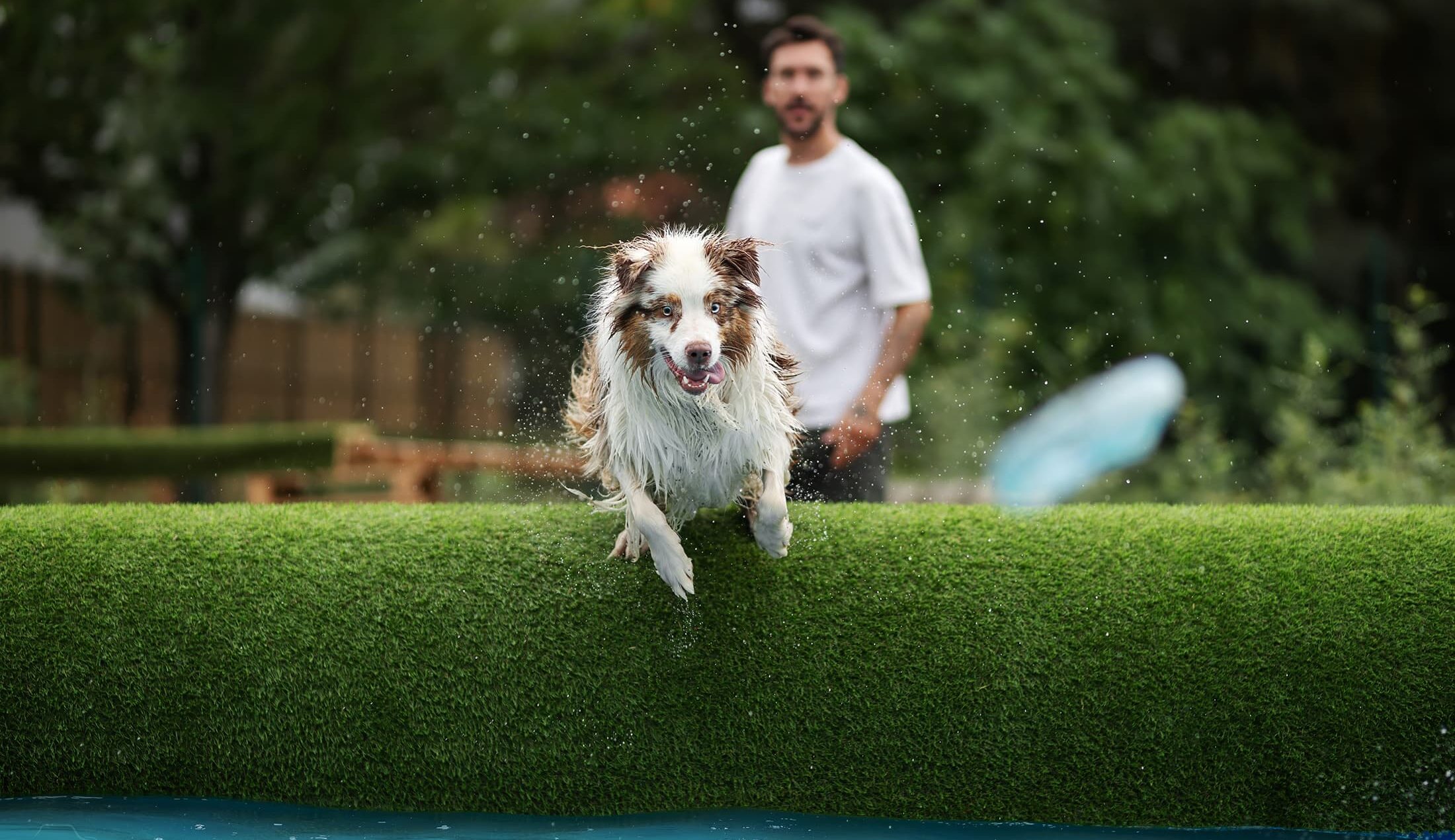 Parc canin sécurisé de 400 m² avec piscines près de Toulouse